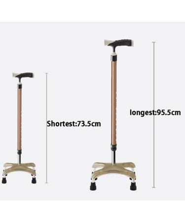 Aluminum Crutches with Comfortable Underarm Pad and Handgrip Lightweight Telescopic Four-Legged Cane (Purple) (Gold) Bathing in Sunlight - Buy Online on GoSupps.com
