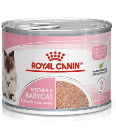 Royal Canin Mother & Babycat Mousse | 12 x 195 g | Complete Food for Cats | Especially for the Mother Cat and Her Puppies | To Support the Body's Defense - Buy Online on GoSupps.com