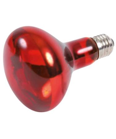 Trixie 76097 Infrared heat spot lamp 80 108 mm 100 W 100 Watt