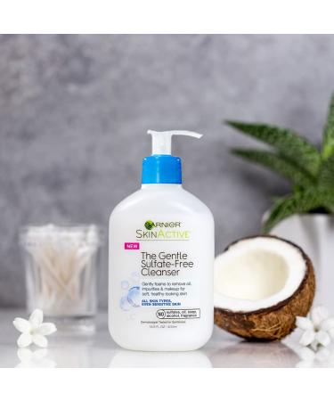 Garnier SkinActive Gentle Sulfate-Free Foaming Face Wash - Pack of 2 - Buy Online on GoSupps.com