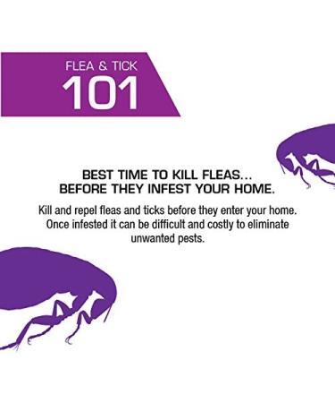 PetAction Plus for Dogs 45-88 lbs - 3 Doses (0.091 fl oz each) - Effective Flea & Tick Treatment - Buy Online on GoSupps.com