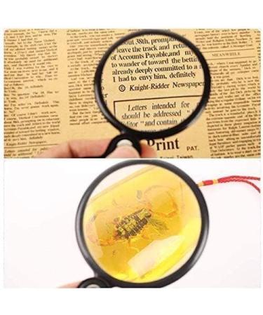 Lightweight Magnifying Glass 10X Handheld High-Definition Mini Portable Round Magnifying Glass for Reading Watch Repair Tools Lofty Ambition - Buy Online on GoSupps.com