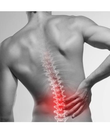 KF-Premium Extra Large Self Heating Lower Lumbar Back Brace - Orthopaedic Magnetic Support Belt for Back Pain Relief - XL - Buy Online on GoSupps.com