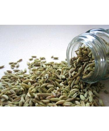Espig Fennel Seeds 100 g - Economical Format 100 g in Bag (1 Bag) - Buy Online on GoSupps.com