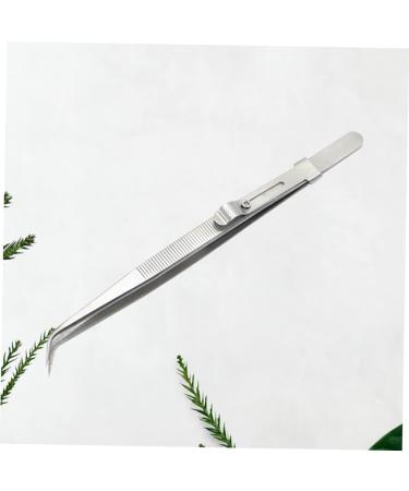 minkissy 1Pc Set Pointed Tweezers Jewelry Tweezers Steel Tweezers Multifunctional Tweezers Card Making kit Jewelry kit Craft Tweezers Electronics Tweezers Repair Tweezers kit Major Suite 16*1cm Picture 1 - Buy Online on GoSupps.com