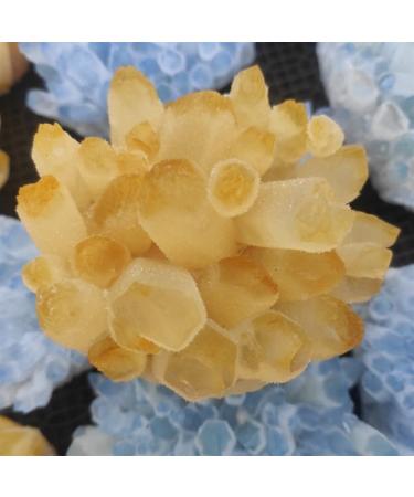 Home Decor 1pcs300-700g Big Size Natural Citrine Quartz Geode Druzy Topaz Crystal Cluster Specimen Home Decoration Gifts Natural Crystal (Size : 500-600g) Crystal Cluster (Size : 400-500g)