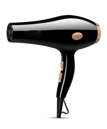 Hair Dryer 2000W Professional Hair Dryer with Concentrator Nozzle Heating Negative Ion Hair Dryer Cooling Button 2 Speed and 3 Heat Settings