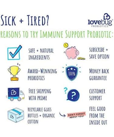 LoveBug Probiotics Immune Support - 40 Billion CFU Daily Probiotic, 30 Count - Buy Online on GoSupps.com