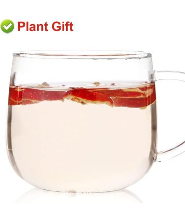 PlantGift Hawthorn Berry 80G/2.82oz China Medicinal Herb (Shanzha/Dried Hawthorne) Dried Bulk Health Tea Hawthorn Berries - Buy Online on GoSupps.com