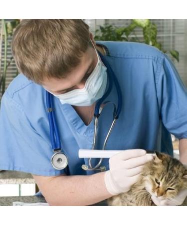 HeiDD Ear Curette Ear Wax Removal Tool Wireless Ear Wax Remover Otoscope 3.9 mm Visual Ear Cleaning Camera for Adults Kids & Pets - Buy Online on GoSupps.com