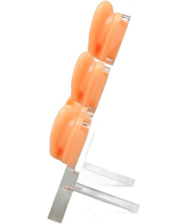 Buy Silicone Waterproof Ear Model for ENT Hospitals - Soft & Tenacious with Support Columns | International Shipping Available - Buy Online on GoSupps.com