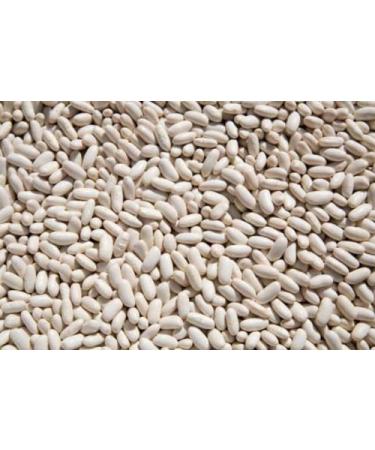 OliveNation Organic Cannellini Beans, Dry White Kidney Beans, Non-GMO, Gluten Free, Vegan - 2 pounds 2 Pound (Pack of 1)