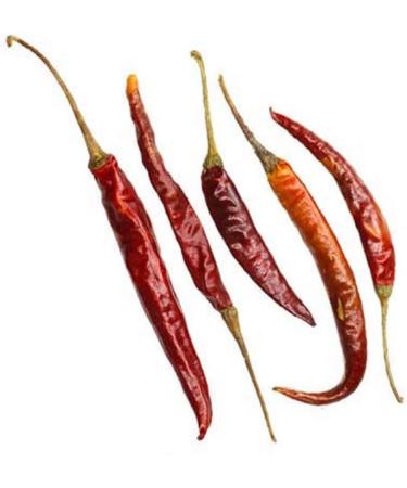 Laprovecom ALVARADO hot sauce from the south of Mexico Habanero flor de sal Guajillo Jamaican pepper Vinagre 40 ml - Buy Online on GoSupps.com