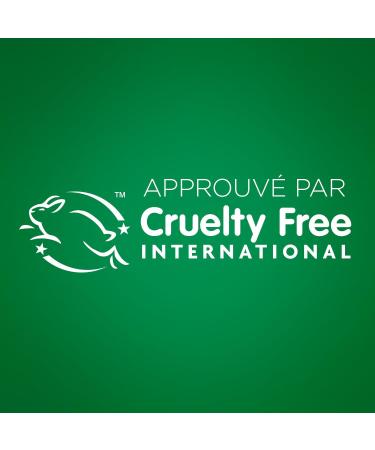  Garnier Garnier Fructis 2-in-1 Anti-Dandruff Shampoo Green Tea 300 ml - Buy Online on GoSupps.com