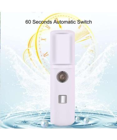 BESPORTBLE 1pc Sprayer Hydrating Humidifier Mini Humidifier Usb Portable Humidifier Facial Care Steamer Desktop - Buy Online on GoSupps.com