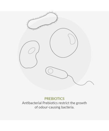 Green People for Men Wildly Fresh Skin Care Duo| Natural & Organic Men s Body Wash & Deodorant Gift Set | Refreshing Cooling Mint | SLS Free Paraben Free & Ethanol Free | Cruelty Free & Vegan - Buy Online on GoSupps.com