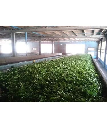 Mlesna Rich Brew Tea BOP Th de Ceylan pur en vrac emball au Sri Lanka 200 g - Buy Online on GoSupps.com