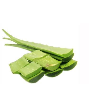 HalalEveryDay | 100% Pure Aloe Vera Gel | After Sun Care Soothe & Hydrate | Sun Burn Relief | Moisturizing | Vegan | 32 oz - Buy Online on GoSupps.com