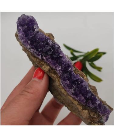 for Natural Dream Amethyst Quartz Crystal Cluster Specimen ERBDRGAZ - Buy Online on GoSupps.com
