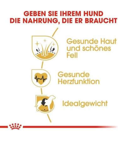 ROYAL CANIN Golden Retriever Adult | 3kg | Dry Dog Food | Especially for Golden Retrievers Adults and Seniors | From 15 Mont - Buy Online on GoSupps.com