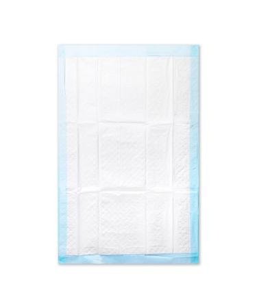Medi-Inn medical pads SAP Plus Premium disposable pads incontinence pads color blue-white 20 x 40 cm (25 pieces)