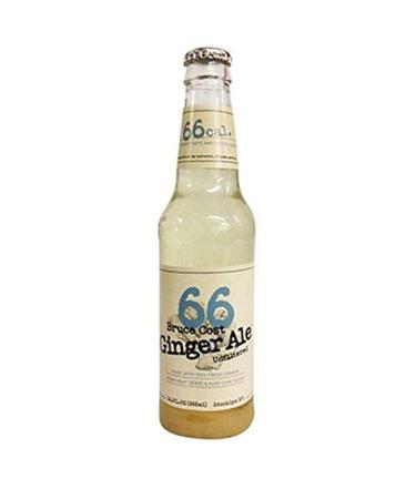 Bruce Cost 66 Ginger Ale, white, 12 Fl Oz (Pack of 12)