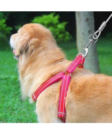 Durable Dog Leash for Big Dogs | Tie-Out Linen & Cables for Small Medium & Large Breeds - Shop Now! - Buy Online on GoSupps.com