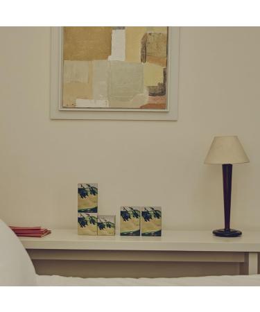 Artemis Nourish Body Wash - Aromatic Artemisia Rosemary & Eucalyptus | 9.46 Fl Oz | Korean Body Care - Shop Internationally - Buy Online on GoSupps.com