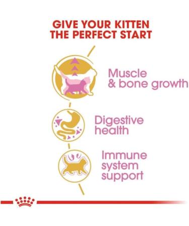 Royal Canin British Shorthair Kitten Complete Dry Cat Food 3 x 400g - Buy Online on GoSupps.com