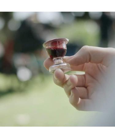 TrueVine Chalice Prefilled Communion Cups and Wafer Set - 1000 Count Pack - Easy-Open Communion with Bread & Juice - Fresh and Convenient for Your Service - Buy Online on GoSupps.com