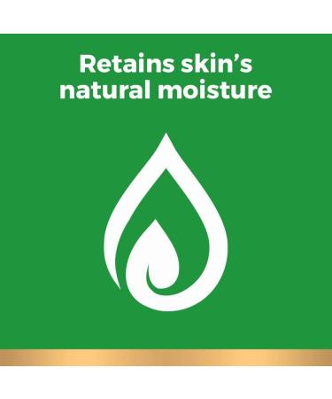 Irish Spring Aloe Mist Body Wash for Men 591 mL - Buy Online on GoSupps.com