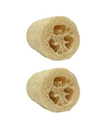 3 Pack Natural Loofah Body Scrub (5 inches) with Single Empty Shower Gel Foamer Bottle (1.7 oz)
