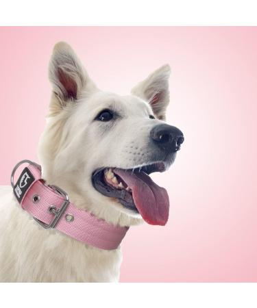 Buy Tspro Tactical Dog Collar - Military Quality 3.8cm Wide Strong & Thick with Robust Metal Buckle Pink-L (Adjustable 52cm-60cm) - Ideal for All Breeds - Buy Online on GoSupps.com