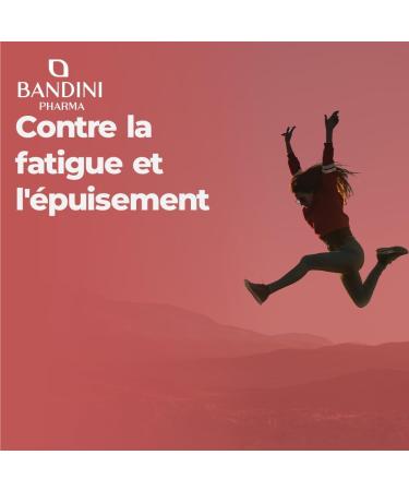 Bandini Iron Bisglycinate 70mg 180 Capsules (6 Months) + Vitamin C and Acerola - Food Supplement Absorption & Bioavailability - Buy Online on GoSupps.com