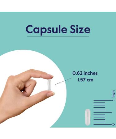 BESTVITE Melatonin SR 3mg (120 Vegetarian Capsules) - Vegan - Non GMO - Gluten Free - Extended Release Melatonin 120 Count (Pack of 1) - Buy Online on GoSupps.com