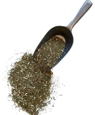 Canadian Flea Herbal Tea (Erigeron) plant CT 250 GRS Erigeron Canad - Buy Online on GoSupps.com