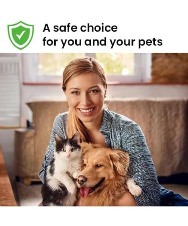 Pet-Friendly Chamomile Essential Oil - 10ml - Natural & Pure - Helps Create a Calming Environment for Pets - Buy Online on GoSupps.com