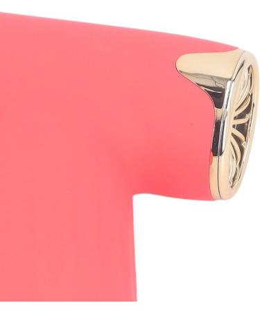 Hair Dryer Mini Dust Blower Easy To Carry 4 Levels Wind for Home for Outdoor for Cats Dogs (Red) - Buy Online on GoSupps.com
