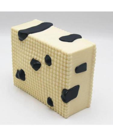 Cell Membrane Model Proteins and Lipid Molecules for Biology Lessons - Buy Online on GoSupps.com