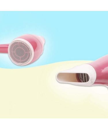 Hair Dryer-Professional Ionic Salon Hair Dryer Powerful Ceramic Tourmaline Blow Dryer Quiet Hairdryer with Concentrator Nozzle Attachments - Buy Online on GoSupps.com