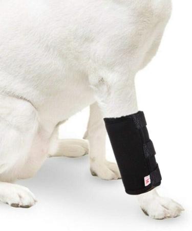 Pair of Dog Front Leg Brace - Canine Compression Wrap Protects Wounds Heal Support Due to Arthritis to Prevent Injuries(1 Pair L-XL) - Buy Online on GoSupps.com