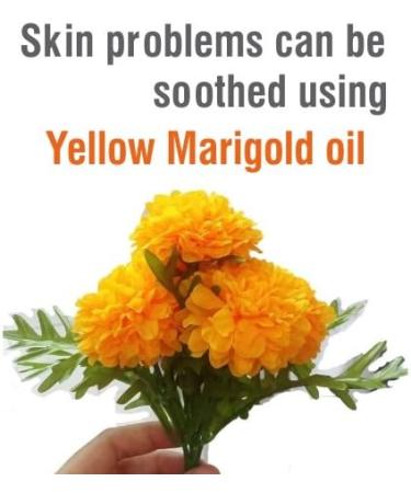 Buy Yellow Marigold Essential Oil 500ml - Pure Natural Therapeutic Aromatherapy - Uncut & Undiluted - Buy Online on GoSupps.com