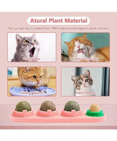 Buy Starroad-Tim Catmint Wallball for Cats | Natural Teeth Cleaning & Eating Toy - International Shipping Available - Buy Online on GoSupps.com