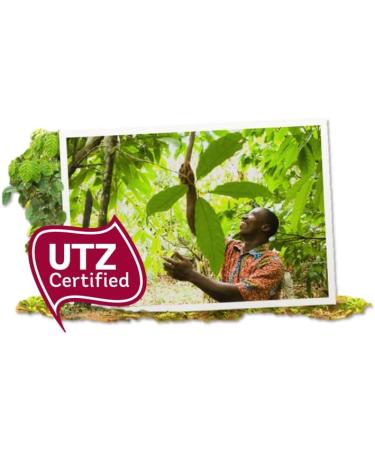 BALISTO - Barres chocolat et biscuit c r ales lait miel et amandes - 10 sachets de 18 5g - 185g (Lot de 3) - Buy Online on GoSupps.com