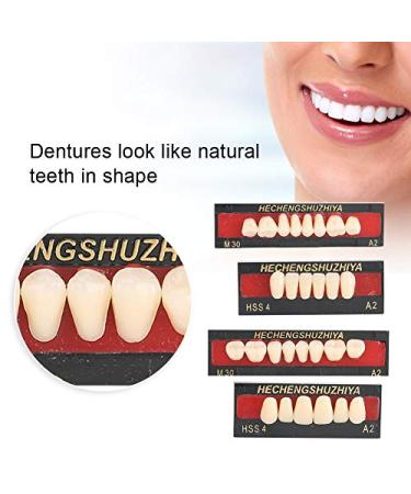 High-Quality Synthetic Resin False Teeth | Dental Prosthesis for Oral Care | Upper & Lower Dental Material - Buy Online on GoSupps.com