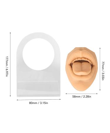 Realistic Tongue Model for Research | Lifelike Tongue Mouth Model with Acrylic Holder - Skin Color - Buy Online on GoSupps.com