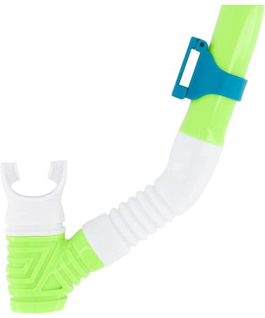 Speedo Adventure Swim Mask & Snorkel Set Junior - Green Gecko/Clear - Buy Online on GoSupps.com