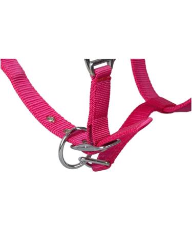 RL24 Halter with Plush Padding - BASICLINE in 6 Colors for Shetland Pony Thoroughbred & Warmblood - Magenta Pony - Buy Online on GoSupps.com