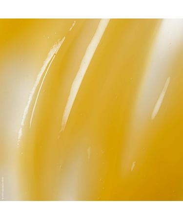 NUXE R ve de Miel Ultra-Rich Cleansing Gel - 13.5 Fl oz - Buy Online on GoSupps.com