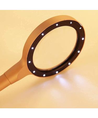 Magnifying Glass HD Magnifier 12 LED Light Children's Mirror Bimetallic Frame Handle Magnifier Handheld Glass Can Magnify 10 20 Times Magnifier - Buy Online on GoSupps.com